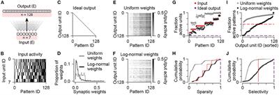 Recurrent Excitatory Feedback From Mossy Cells Enhances Sparsity and Pattern Separation in the Dentate Gyrus via Indirect Feedback Inhibition